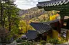 Sajaam, an annex temple of Sangwon Temple, is built on a slope to create a tier-like structure and is surrounded by vibrant autumn colors. [BAEK JONG-HYUN]