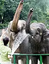 테스트