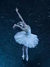 테스트