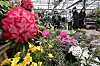 People browse flowers and potted plants at Yangjae Flower Market in Seocho District, southern Seoul, on Monday, ahead of Arbor Day on April 5. [YONHAP]