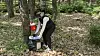 An official places a mosquito collector in the woods in Seoul. [Seoul Metropolitan Government]