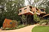 Three tree houses at newly built relaxation village Surak Hyu are seen surrounded by lush greenery in Nowon District, northern Seoul, on June 28. [LEE SOO-JUNG]