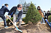 President Moon Jae-in on Monday plants a tree at the Seoul Power Station in Mapo District of western Seoul for an Arbor Day ceremony. [YONHAP]