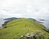 테스트