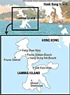 테스트