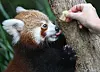 테스트