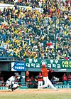 테스트