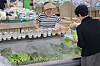 Shoppers browse the fresh produce section at the Yangjae Hanaro Mart in Seocho District, southern Seoul, on July 20. Concerns regarding a sharp rise in vegetable and fruit prices are growing following a heat wave and flood damage. [YONHAP]