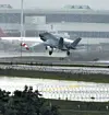 테스트