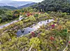 An aerial view of Forest Camp, the forest area next to popular theme park Everland in Gyeonggi. [EVERLAND]