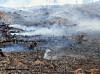 A fire broke out in Hwasun County, South Jeolla, at around 1:25 p.m. on Sunday. [NEWS1]