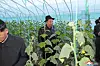 North Korean leader Kim Jong-un visits a greenhouse in South Hamgyong, North Korea, on Oct. 11. [YONHAP]
