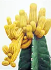 테스트