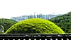 A royal tomb of King Injo is in Jangneung in Gimpo, Gyeonggi. [JOONGANG ILBO]