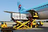 Korean Air Lines passenger Airbus A330 loads cargo in March. [KOREAN AIR LINES]