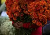 A young flower vendor holds a bouquet of marigolds, the iconic Day of the Dead flower for Mexicans that is known as cempasuchil, at the Jamaica Market, in Mexico City on Oct. 29, [AP/YONHAP]