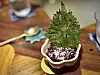 Curried rice, a comfort dish in southern India, is reimagined with beetroot, Spanish goat cheese and a side of crunchy shiso tempura at Papa's, a fine dining restaurant in Mumbai [LEE JIAN]
