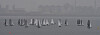 Teams from around the world, including the United States, the United Kingdom, Canada and China, race through the rain in the Hwandonghae Cup International Yacht Race off the coast of Pohang, North Gyeongsang on Saturday. Despite inclement weather, the tournament, which ran from Friday through Sunday, went ahead as planned.  [NEWS1]
