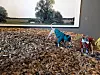 Dogs Sedong, left, and Sesang walk on a hill installed by landscape architect Smooth Yoo as part of the 'A Museum for All, a Museum for Dogs' exhibition at MMCA Seoul on Monday. [MOON SO-YOUNG]