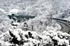 테스트