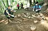 테스트