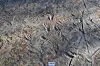 Footprints of a bipedal crocodile found in the Jinju Formation in Sacheon, South Gyeongsang. It became the first footprint evidence that ancestors of modern-day crocodiles walked on two legs. [CHINJU NATIONAL UNIVERSITY OF EDUCATION]