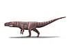 Reconstruction of a bipedal crocodile relative from the Early Cretaceous that left tracks in the Jinju Formation in Sacheon, South Gyeongsang. [CHINJU NATIONAL UNIVERSITY OF EDUCATION]