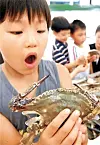 테스트