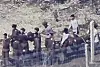 North Korean soldiers evacuate casualties following a landmine explosion along the eastern frontline in this image released by South Korea’s Joint Chiefs of Staff on March 27. [NEWS1]