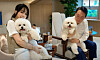 A fan club for first lady Kim Keon-hee sparked controversy after it released unseen photos of President Yoon Suk-yeol and first lady Kim Keon-hee with their dogs at the presidential office in Yongsan, central Seoul, on May 29. [SCREEN CAPTURE]