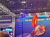 A drone soccer match, using rules and technology developed in Jeonju, North Jeolla, is demonstrated at CES 2024 in Las Vegas on Tuesday. In drone soccer, two teams of five compete in three sets, each three minutes long. Each player maneuvers their own drone, which is enclosed in a ball-shaped case. Players control the drone-balls to score and defend against the opposing team. [YONHAP]