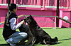 A professional dog trainer looks after puppies at the Naepumae center in Seodaemun District, western Seoul, on Feb. 24.