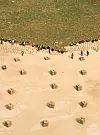 테스트