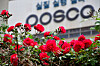 Posco logo at the company’s steel plant in Pohang, North Gyeongsang. [POSCO]