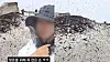 A climber captured a swarm of lovebugs at Buckhansan Mountain on May 30. [SCREEN CAPTURE]