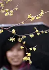 테스트