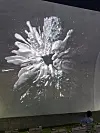 Director, animator and artist Erick Oh's new short animated film ″Origin″ is playing on the facade of Space K Seoul in Gangseo District, western Seoul [LEE JIAN]