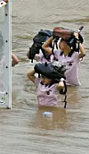 테스트