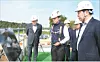 테스트