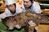 테스트