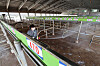 A livestock cooperative federation employee disinfects a livestock market in Yeongam, South Jeolla, on March 17, amidst an outbreak of foot-and-mouth disease, the first in almost two years. [YONHAP]