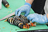 A vendor rolls gimbap (a seaweed rice roll) at the 2024 Jeonnam World Gimbap Festival in Yeouido, western Seoul, on Friday. [YONHAP]