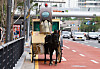Uma Musume users held another horse buggy protest on Tuesday at Pangyo, Gyeonggi, where Kakao Games is headquartered at. [NEWS1]