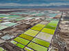 Korea and Chile will launch another round of talks on revising their free trade agreement in response to changing global trade circumstances. Pictured are Chile's lithium deposits, which the nation holds the most of in the world. [AP/YONHAP]