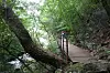 A famous stream known as Jukgyegugok in Mount Sobaek National Park in Yeongju, North Gyeongsang. [BAEK JONG-HYUN]
