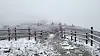 Snow covers the ground on Mount Seorak in Gangwon on Sunday morning. A branch office of the Korea National Park Service in Seorak-dong in Gangwon said the mountain received approximately one centimeter (0.39 inches) of snow between Saturday and Sunday. [SEORAKSAN NATIONAL PARK OFFICE]