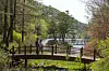 Mount Midong Arboretum in Cheongju, North Chungcheong. [BAEK JONG-HYUN]