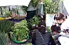 People shop for vegetables in Marche@ [JOONGANG PHOTO]