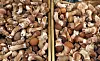 Locally grown mushrooms that are sold at Aug. 7's Marche@ market in Mapo District, western Seoul [PARK SANG-MOON]