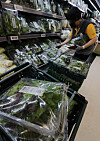 An employee displays lettuce at a discount supermarket in downtown Seoul on Wednesday. Due to heavy rain, prices of vegetables are surging in Korea, with lettuce prices jumping 82.3 percent on year in July and prices of spinach 66.9 percent. [NEWS1]